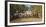 Brazil. Panateros, Brazilian cowboys drive cattle along the Rodovia Transpanateira.-Ralph H. Bendjebar-Framed Photographic Print