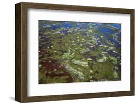 Brazil, Pantanal, Mato Grosso Do Sul. an Aerial View of a Section of the Pantanal-Nigel Pavitt-Framed Photographic Print