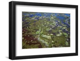 Brazil, Pantanal, Mato Grosso Do Sul. an Aerial View of a Section of the Pantanal-Nigel Pavitt-Framed Photographic Print