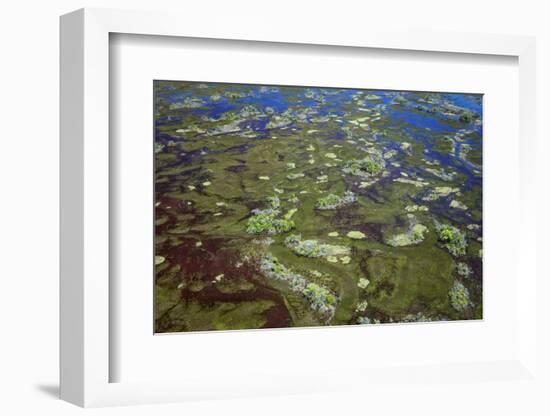 Brazil, Pantanal, Mato Grosso Do Sul. an Aerial View of a Section of the Pantanal-Nigel Pavitt-Framed Photographic Print