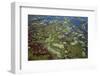 Brazil, Pantanal, Mato Grosso Do Sul. an Aerial View of a Section of the Pantanal-Nigel Pavitt-Framed Photographic Print