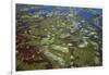 Brazil, Pantanal, Mato Grosso Do Sul. an Aerial View of a Section of the Pantanal-Nigel Pavitt-Framed Photographic Print