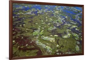 Brazil, Pantanal, Mato Grosso Do Sul. an Aerial View of a Section of the Pantanal-Nigel Pavitt-Framed Photographic Print