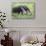 Brazil, Pantanal, Mato Grosso Do Sul. the Giant Anteater or Ant Bear-Nigel Pavitt-Stretched Canvas displayed on a wall
