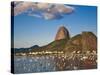 Brazil, Rio De Janeiro, Botafogo, View of Sugar Loaf-Jane Sweeney-Stretched Canvas