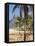 Brazil, Rio De Janeiro, Leblon Beach, Bike Leaning on Palm Tree-Jane Sweeney-Framed Stretched Canvas