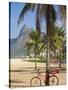 Brazil, Rio De Janeiro, Leblon Beach, Bike Leaning on Palm Tree-Jane Sweeney-Stretched Canvas