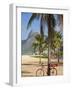 Brazil, Rio De Janeiro, Leblon Beach, Bike Leaning on Palm Tree-Jane Sweeney-Framed Photographic Print