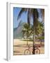 Brazil, Rio De Janeiro, Leblon Beach, Bike Leaning on Palm Tree-Jane Sweeney-Framed Photographic Print