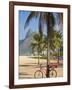 Brazil, Rio De Janeiro, Leblon Beach, Bike Leaning on Palm Tree-Jane Sweeney-Framed Photographic Print