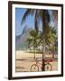 Brazil, Rio De Janeiro, Leblon Beach, Bike Leaning on Palm Tree-Jane Sweeney-Framed Photographic Print