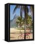 Brazil, Rio De Janeiro, Leblon Beach, Bike Leaning on Palm Tree-Jane Sweeney-Framed Stretched Canvas