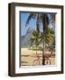 Brazil, Rio De Janeiro, Leblon Beach, Bike Leaning on Palm Tree-Jane Sweeney-Framed Photographic Print