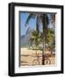 Brazil, Rio De Janeiro, Leblon Beach, Bike Leaning on Palm Tree-Jane Sweeney-Framed Photographic Print