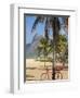 Brazil, Rio De Janeiro, Leblon Beach, Bike Leaning on Palm Tree-Jane Sweeney-Framed Photographic Print