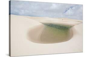 Brazil's Lencois Maranhenses Sand Dunes and Lagoons on a Sunny Afternoon-Alex Saberi-Stretched Canvas