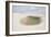 Brazil's Lencois Maranhenses Sand Dunes and Lagoons on a Sunny Afternoon-Alex Saberi-Framed Photographic Print