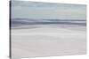 Brazil's Lencois Maranhenses Sand Dunes-Alex Saberi-Stretched Canvas