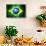 Brazil Soccer World Cup 2014 Flag-daboost-Stretched Canvas displayed on a wall