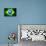 Brazil Soccer World Cup 2014 Flag-daboost-Mounted Art Print displayed on a wall