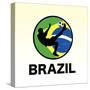 Brazil Soccer-null-Stretched Canvas