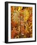 Brazil, State of Rio de Janeiro, City of Rio de Janeiro, Samba Dancer in the Carnival Parade at The-Karol Kozlowski-Framed Photographic Print