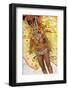 Brazil, State of Rio de Janeiro, City of Rio de Janeiro, Samba Dancer in the Carnival Parade at The-Karol Kozlowski-Framed Photographic Print