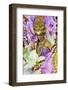 Brazil, State of Rio de Janeiro, City of Rio de Janeiro, Samba Dancer in the Carnival Parade at The-Karol Kozlowski-Framed Photographic Print