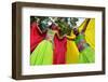 Brazil, State of Rio de Janeiro, City of Rio de Janeiro, Santa Teresa, Traditional Carnival Parade -Karol Kozlowski-Framed Photographic Print