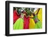 Brazil, State of Rio de Janeiro, City of Rio de Janeiro, Santa Teresa, Traditional Carnival Parade -Karol Kozlowski-Framed Photographic Print