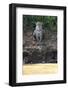 Brazil, The Pantanal, Rio Cuiaba, A female jaguar sits on the river bank watching for prey.-Ellen Goff-Framed Photographic Print