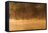Brazil, The Pantanal, Rio Cuiaba. The mist rises off the river in the early morning.-Ellen Goff-Framed Stretched Canvas