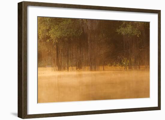 Brazil, The Pantanal, Rio Cuiaba. The mist rises off the river in the early morning.-Ellen Goff-Framed Photographic Print