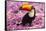 Brazil. Toco Toucan in the Pantanal.-Ralph H^ Bendjebar-Framed Stretched Canvas