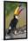 Brazil. Toco Toucan in the Pantanal.-Ralph H. Bendjebar-Framed Photographic Print