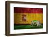 Brazil World Cup 2014 against Spain Flag in Grunge Effect-Wavebreak Media Ltd-Framed Photographic Print