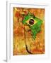 Brazil-michal812-Framed Art Print