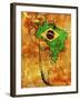 Brazil-michal812-Framed Art Print