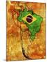 Brazil-michal812-Mounted Art Print