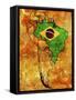 Brazil-michal812-Framed Stretched Canvas