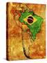 Brazil-michal812-Stretched Canvas