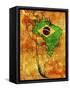 Brazil-michal812-Framed Stretched Canvas