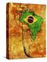 Brazil-michal812-Stretched Canvas