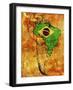 Brazil-michal812-Framed Art Print