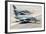 Brazilian Air Force A-1A (Amx) Aircraft Parked at Natal Air Force Base, Brazil-Stocktrek Images-Framed Photographic Print