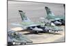 Brazilian Air Force A-1B (Amx) Aircraft Parked at Natal Air Force Base, Brazil-Stocktrek Images-Mounted Photographic Print