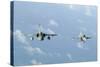 Brazilian Air Force A-1M (Left) and F-5Em Taken In-Flight During Exercise Cruzex-Stocktrek Images-Stretched Canvas
