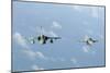 Brazilian Air Force A-1M (Left) and F-5Em Taken In-Flight During Exercise Cruzex-Stocktrek Images-Mounted Photographic Print