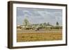 Brazilian Air Force F-5 at Natal Air Force Base, Brazil-Stocktrek Images-Framed Photographic Print