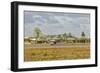 Brazilian Air Force F-5 at Natal Air Force Base, Brazil-Stocktrek Images-Framed Photographic Print